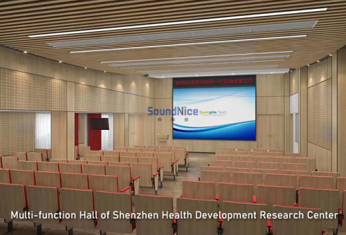 Multi-function Hall of Shenzhen Health Development Research Center