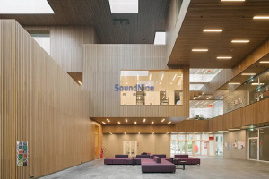 Appreciation of the case of the installation of Slat wooden acoustic panels in the office space