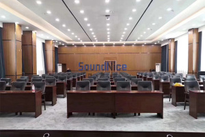 Report Hall  uses grooved  acoustic panels