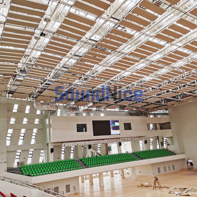 What Are Decorative Sound Absorbing Ceiling Panels?