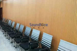 grooved  acoustic panels used in the conference hall